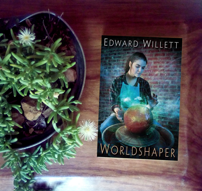 Excerpt Wordlshaper by Edward Willet Portal Fantasy book series